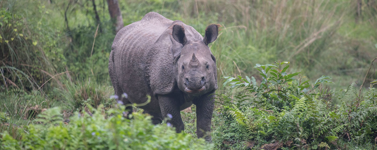 Adventure Tour Packages