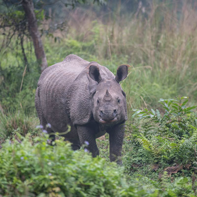 Adventure Tour Packages